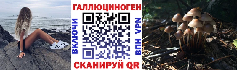 Галлюциногенные грибы прущие грибы  Алапаевск 